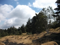 rrente Quarantore-20110911 142